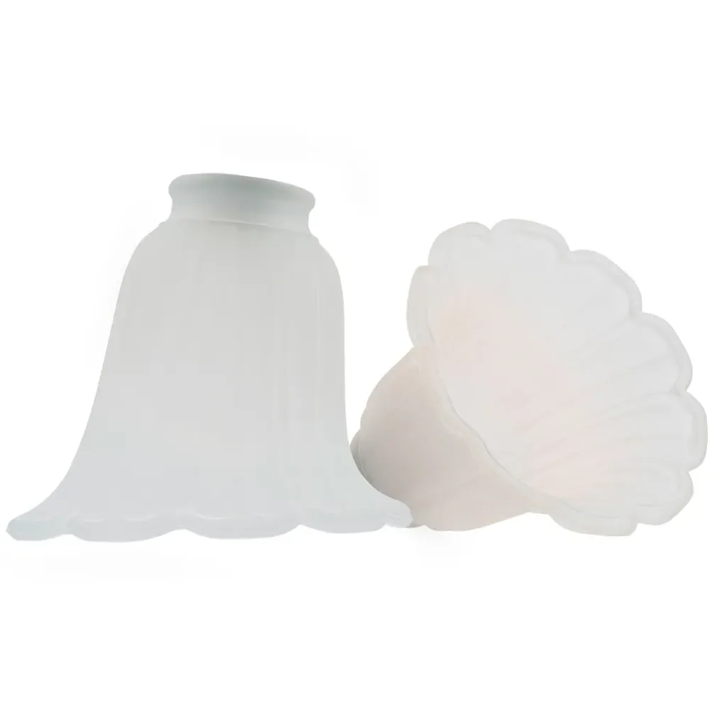 Frosted Floral Glass Shade with Slanted Opening 2 Pack - White