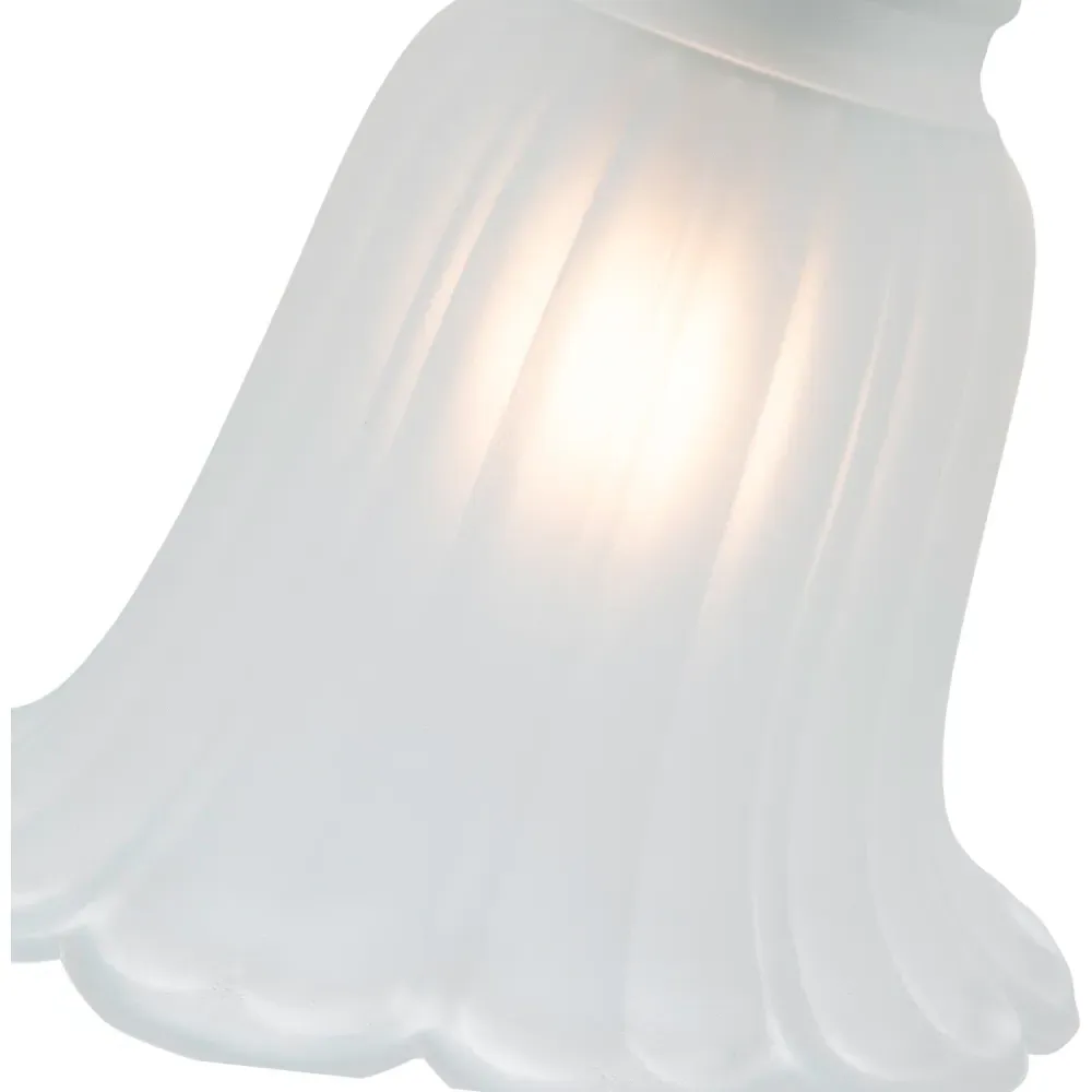 Frosted Floral Glass Shade with Slanted Opening 2 Pack - White