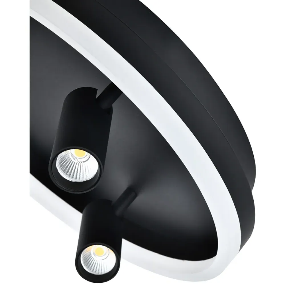 LED Flush Spot Ceiling Light with Adjustable Heads - Black