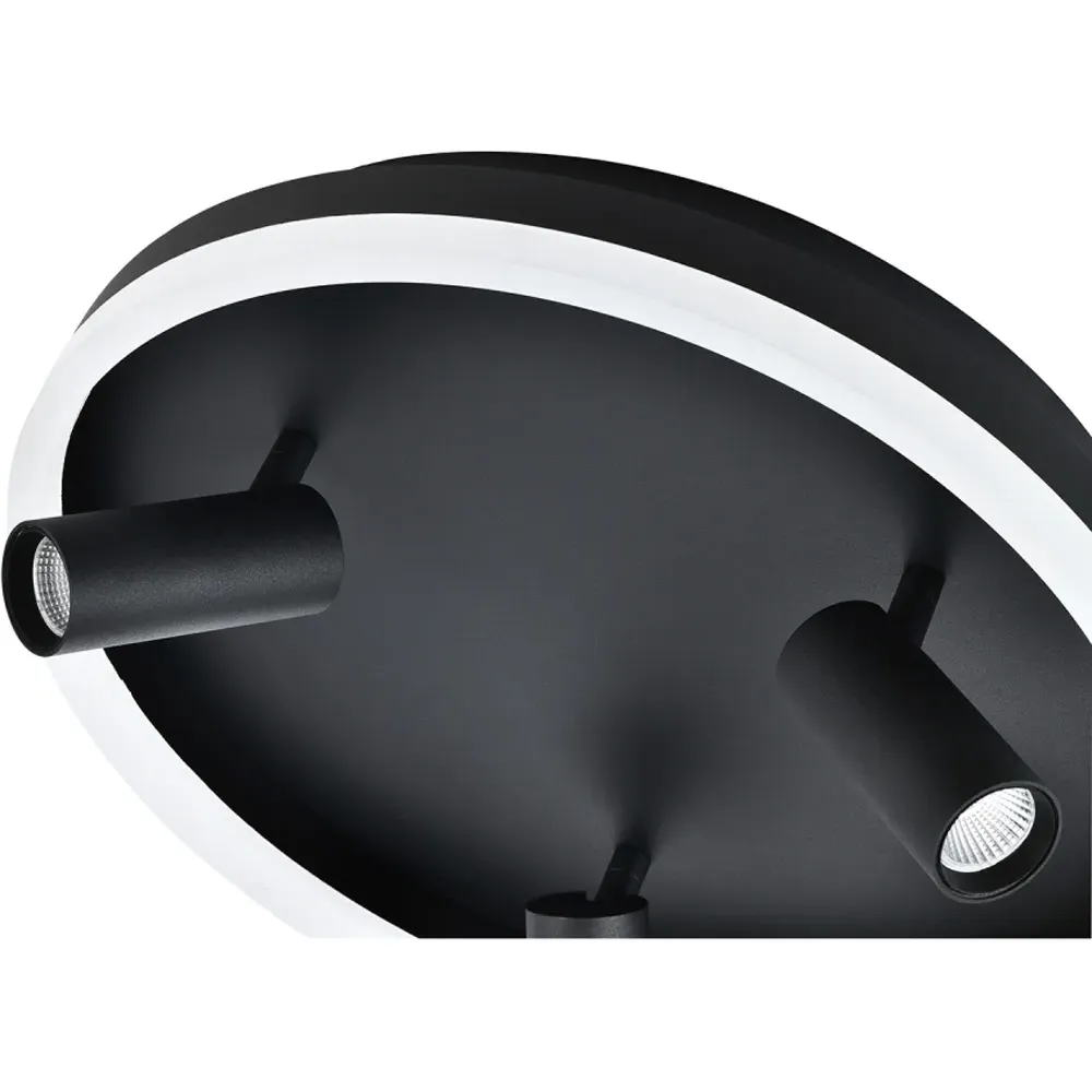 LED Flush Spot Ceiling Light with Adjustable Heads - Black