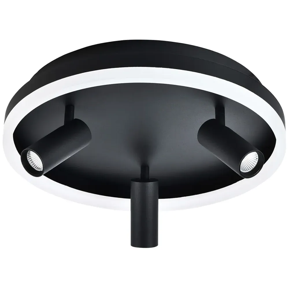 LED Flush Spot Ceiling Light with Adjustable Heads - Black