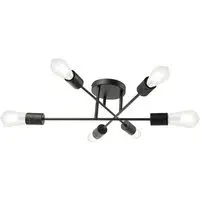 Semi Flush Ceiling Light with Metal Arms - Black