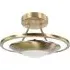 Semi Flush LED Ceiling Light with Glass Diffuser - Gold