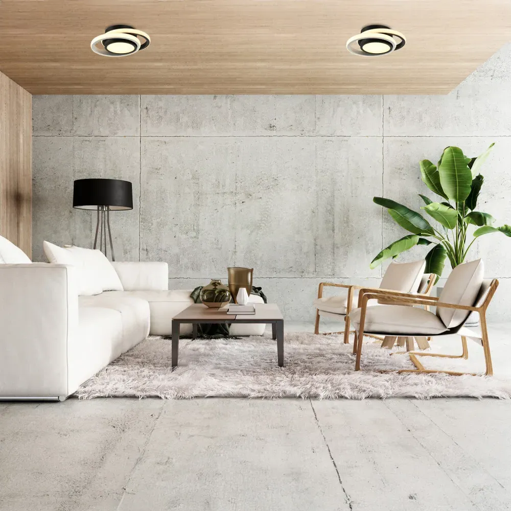 Two-Tone LED Ceiling Light with Central Downlighter - Black