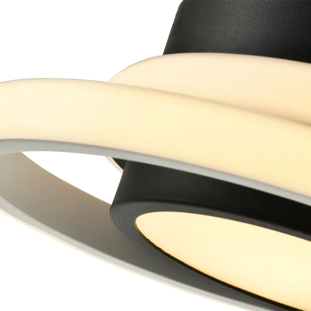Two-Tone LED Ceiling Light with Central Downlighter - Black