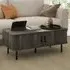 2 Door Coffee Table with Sliding Doors - Grey