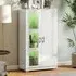 2 Door Display Cabinet with LED Lighting - White