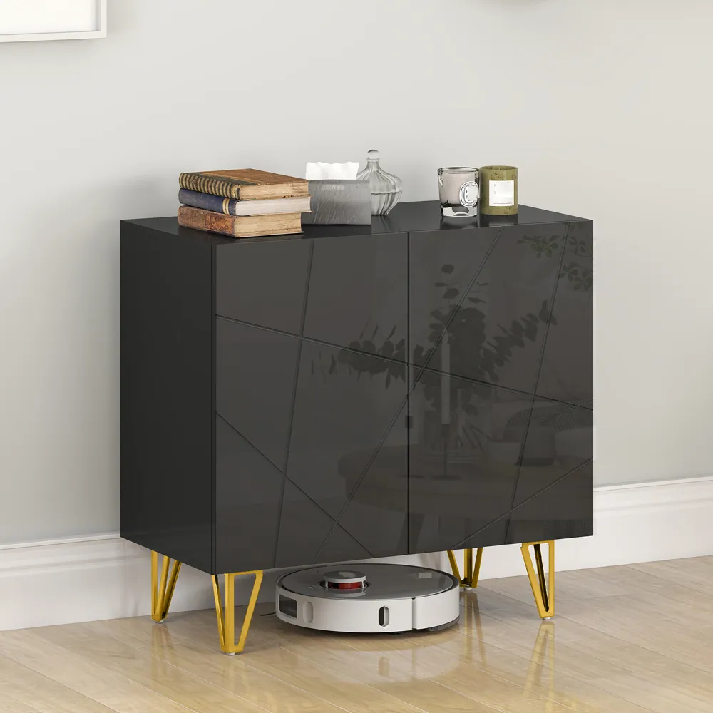 2 Door Storage Cabinet with Adjustable Shelf - Black