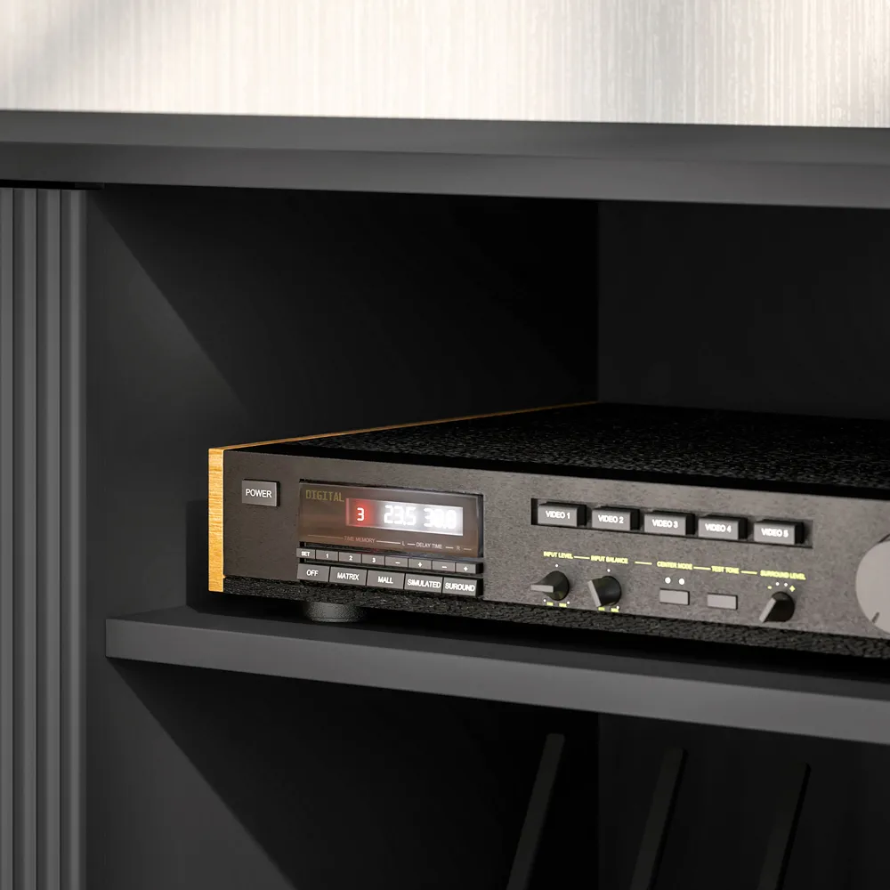 2 Door TV Stand Cabinet with Storage - Black