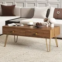 2 Drawer Coffee Table with Steel Base - Brown