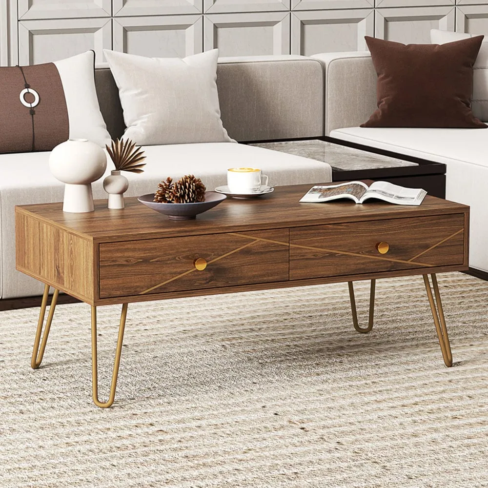 2 Drawer Coffee Table with Steel Base - Brown image