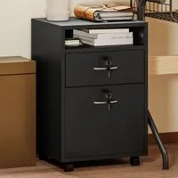 2 Drawer Filing Cabinet with Shelf - Black