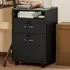 2 Drawer Filing Cabinet with Shelf - Black
