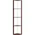 5 Shelf Floor Lamp with RGB LED - Brown