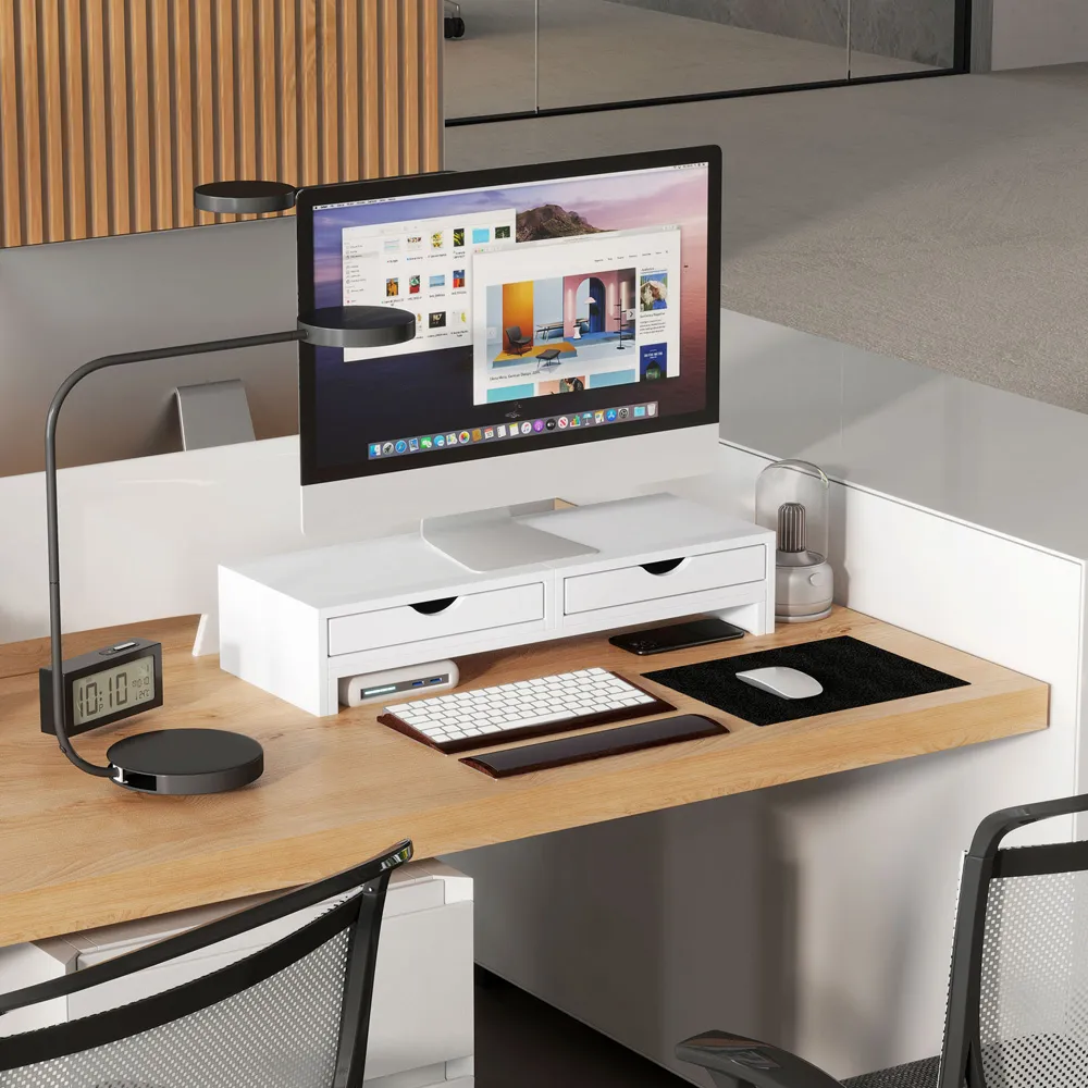 Adjustable Dual Monitor Stand Riser with Storage - White