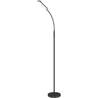 Adjustable Floor Lamp with Remote Control - Black, LED