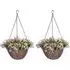 Artificial Flower Hanging Basket 2 Pack - Purple