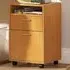 Single Drawer Filing Cabinet with Shelf - Brown