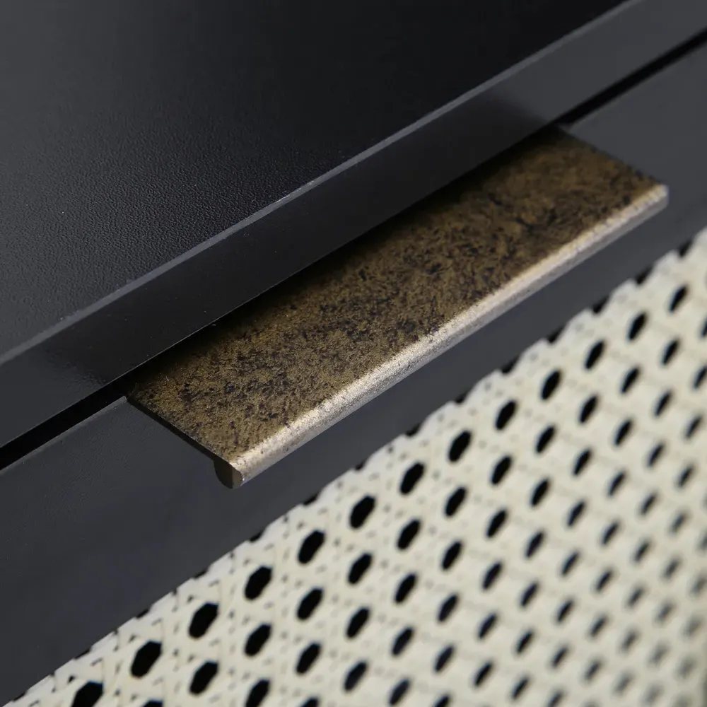 Craven 2 Door TV Unit with Cane Front - Black