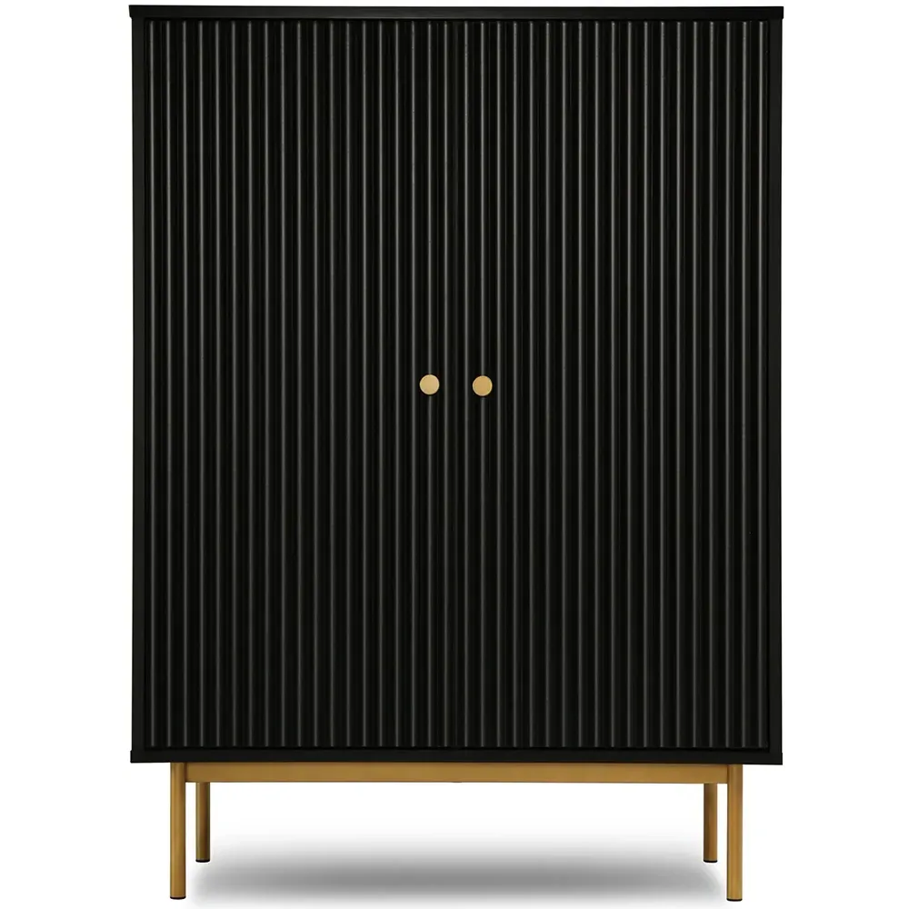 Devon 2 Door Storage Cabinet - Black