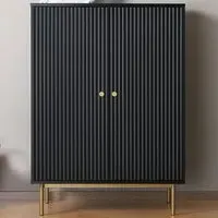 Devon 2 Door Storage Cabinet - Black