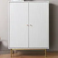 Devon 2 Door Storage Cabinet - White