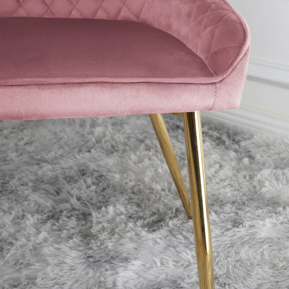 Hamilton Set of 2 Velvet Dining Chairs - Pink