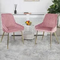 Hamilton Set of 2 Velvet Dining Chairs - Pink