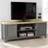 Avon 2 Door Large TV Unit - Grey, Oak