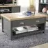 Avon 2 Drawer Coffee Table - Graphite, Oak