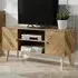 Dallas 2 Door TV Unit with Storage - Natural