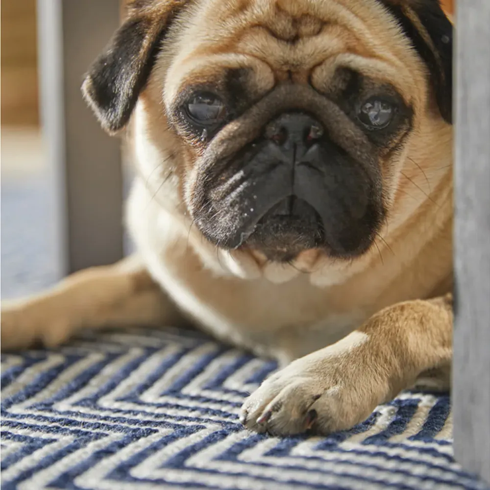Navy Woven Herringbone Rug - Blue