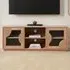 Jodhpur 2 Door TV Cabinet - Brown, Mango Wood