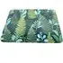 Set of 6 Botanical Fern Placemats - Green