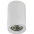 Persea Paintable Downlight - White, Plaster