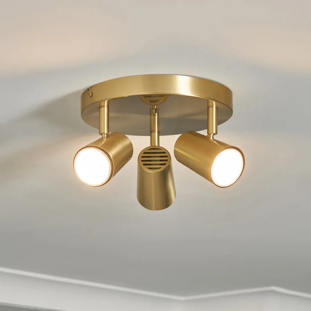 Aurora 3 Spot Light Plate - Gold