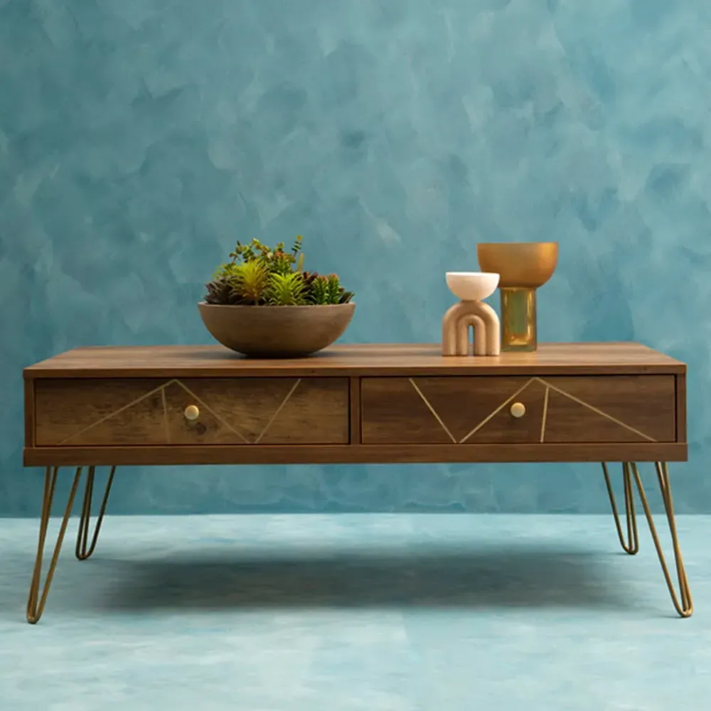 Flori 2 Drawer Coffee Table - Brown, Veneer