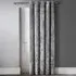 Door Curtain - Silver, Crushed Velvet
