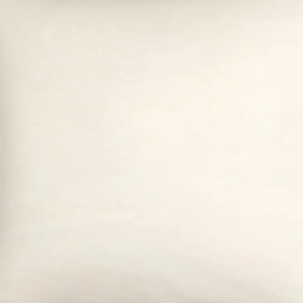 Grace Velvet Filled Cushion 2 Pack - Cream