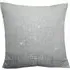 Sasha Filled Cushions 2 Pack - Silver