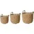 Tenno Natural Basket Set of 3 - Natural