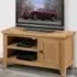 Astoria Single Door TV Unit with Storage - Oak