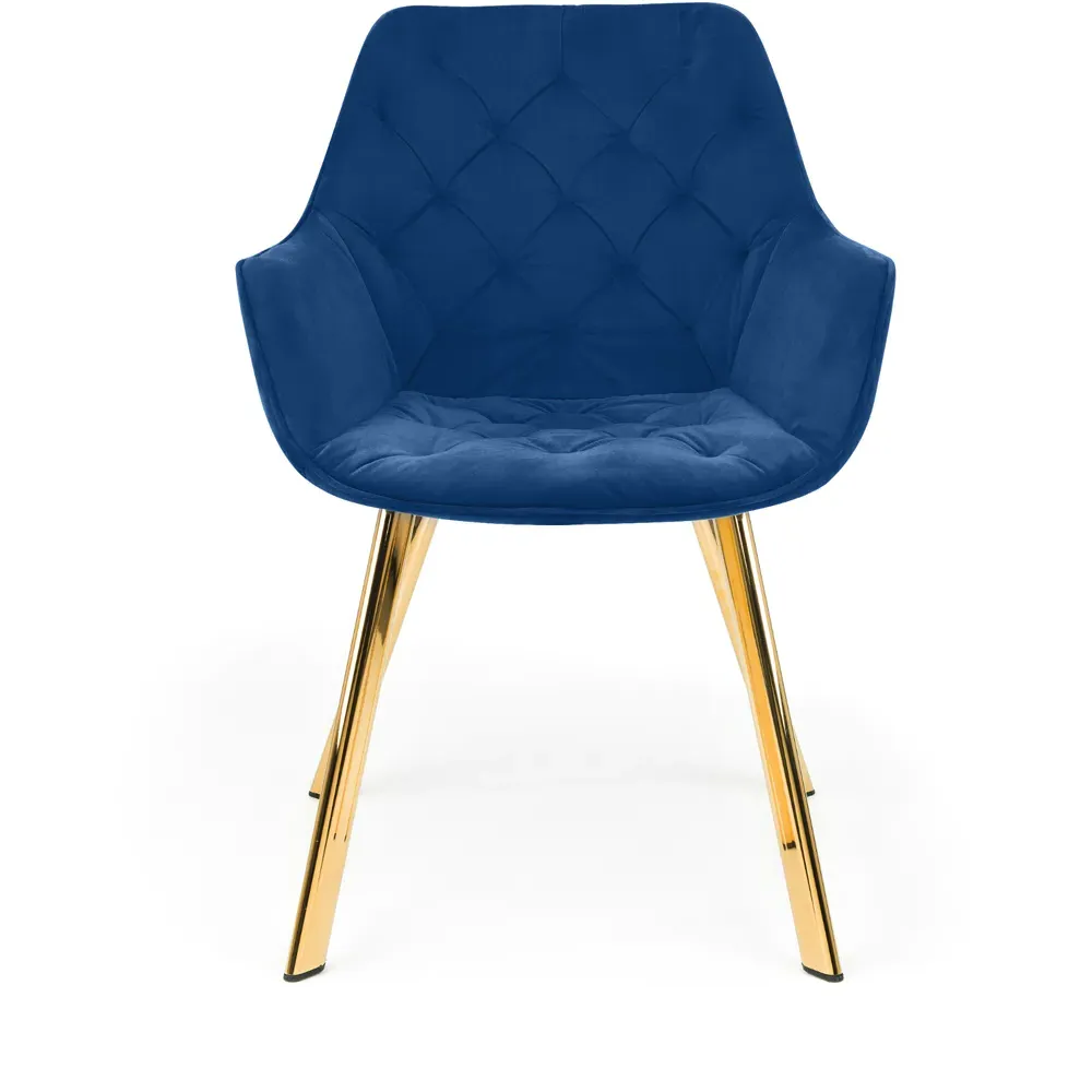 Lorenzo Set of 2 Dining Chairs - Blue, Velvet