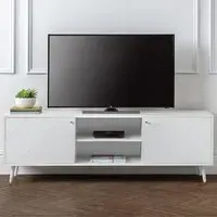 Moritz 2 Door TV Unit with Storage - White
