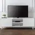 Moritz 2 Door TV Unit with Storage - White