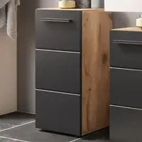 Vista Single Door Storage Cabinet - Black, Viking Oak