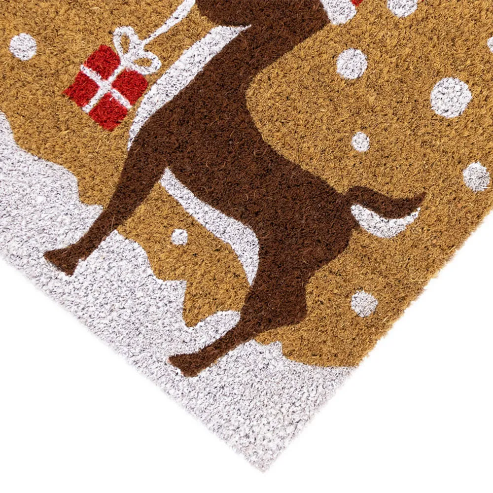 Christmas Reindeer Latex Coir Door Mat - Multi