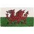 Latex Coir Welsh Dragon Doormat - Natural Coir