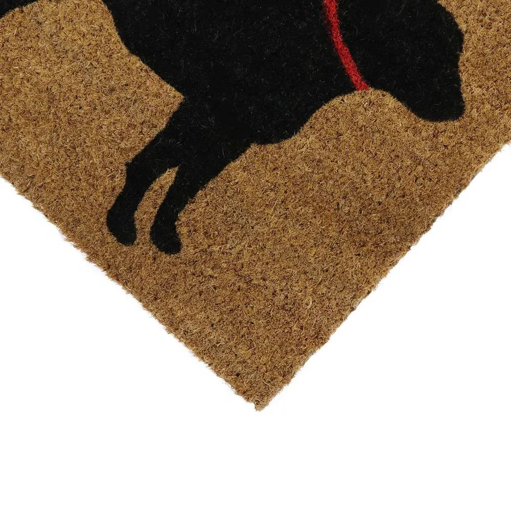 Puppy Love Latex Coir Door Mat - Brown