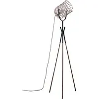 Fulton Tripod Floor Lamp with Metal Cage - Black, Copper